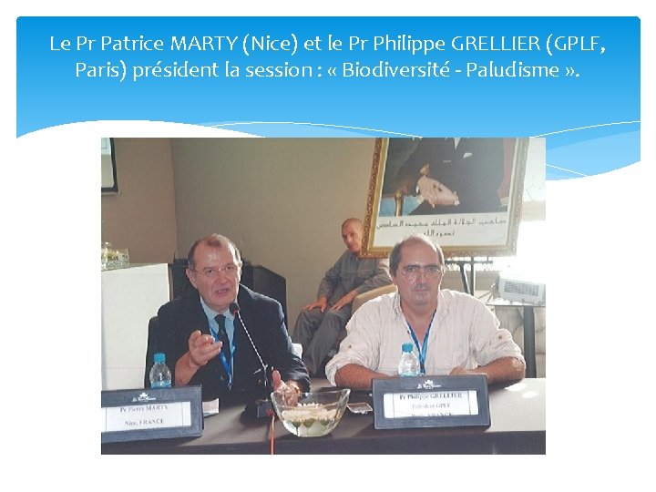 Le Pr Patrice MARTY (Nice) et le Pr Philippe GRELLIER (GPLF, Paris) président la