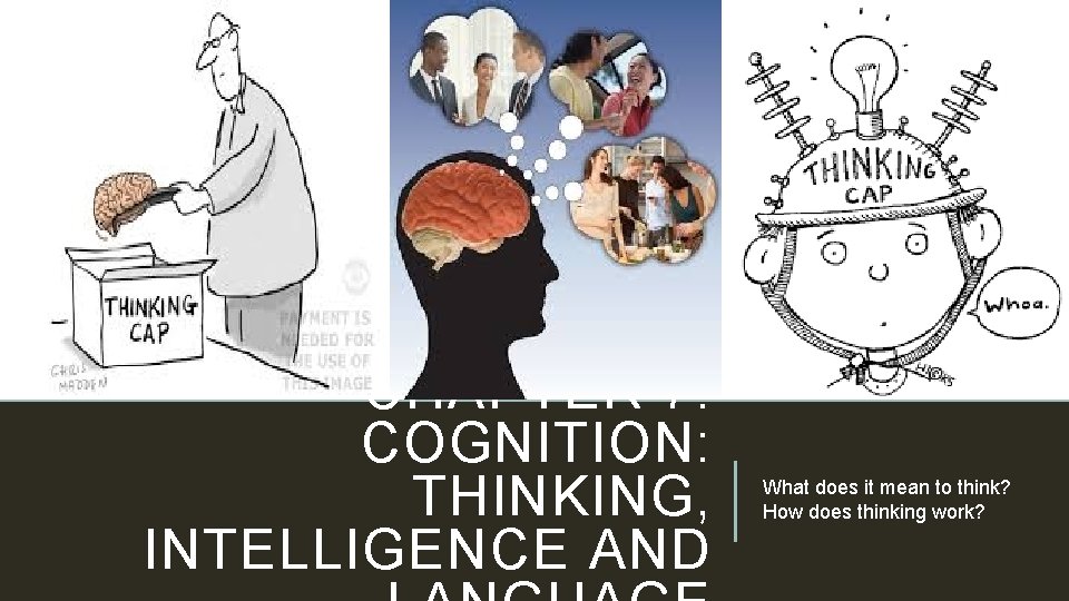 CHAPTER 7: COGNITION: THINKING, INTELLIGENCE AND What does it mean to think? How does