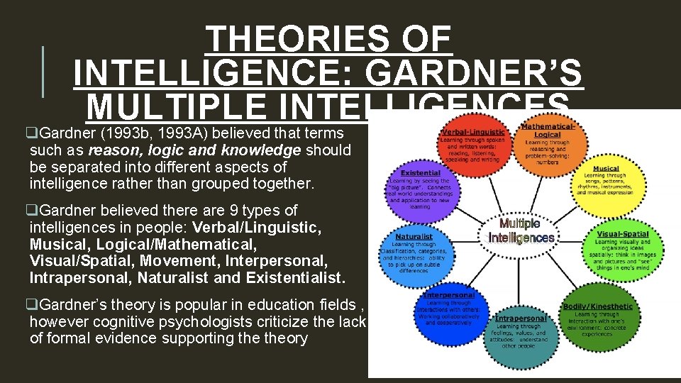 THEORIES OF INTELLIGENCE: GARDNER’S MULTIPLE INTELLIGENCES q. Gardner (1993 b, 1993 A) believed that