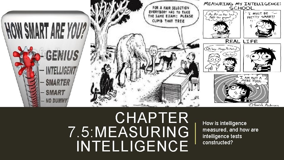 CHAPTER 7. 5: MEASURING INTELLIGENCE How is intelligence measured, and how are intelligence tests