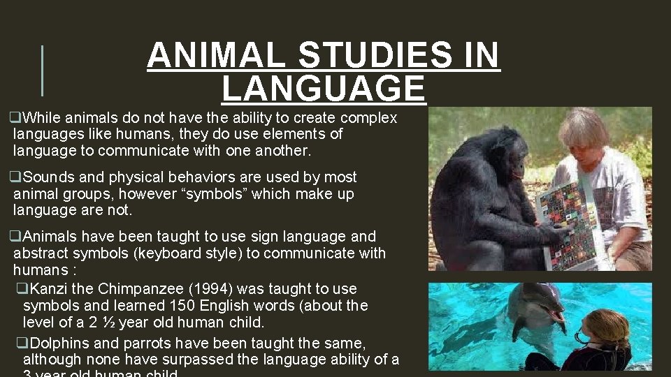 ANIMAL STUDIES IN LANGUAGE q. While animals do not have the ability to create