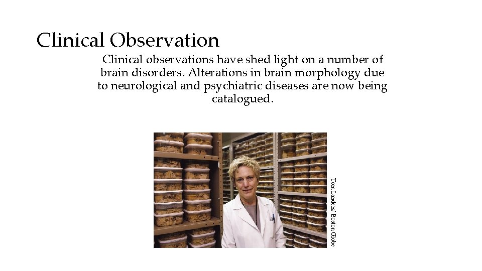 Clinical Observation Clinical observations have shed light on a number of brain disorders. Alterations