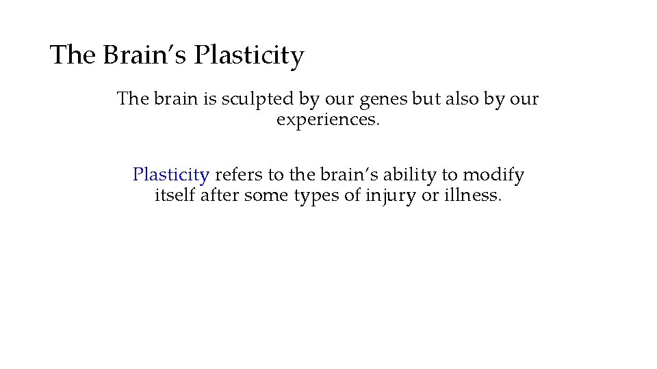 The Brain’s Plasticity The brain is sculpted by our genes but also by our