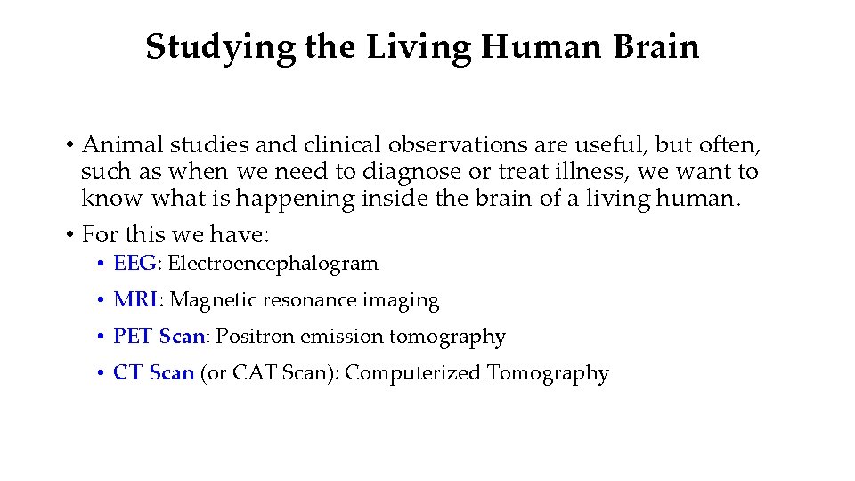 Studying the Living Human Brain • Animal studies and clinical observations are useful, but