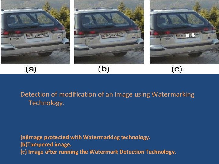 Detection of modification of an image using Watermarking Technology. (a)Image protected with Watermarking technology.