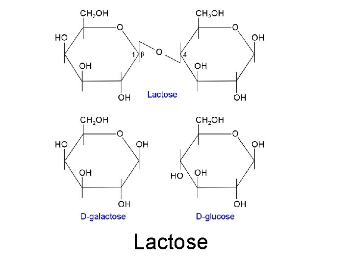 Lactose 