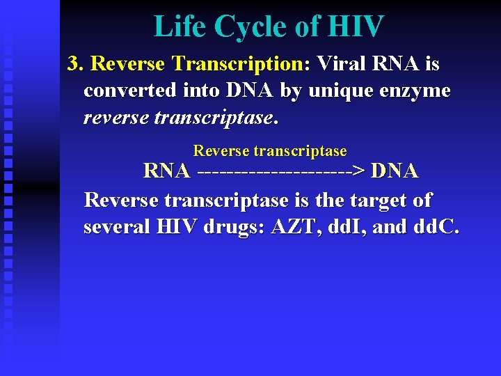Life Cycle of HIV 3. Reverse Transcription: Viral RNA is converted into DNA by Life Cycle of HIV 3. Reverse Transcription: Viral RNA is converted into DNA by