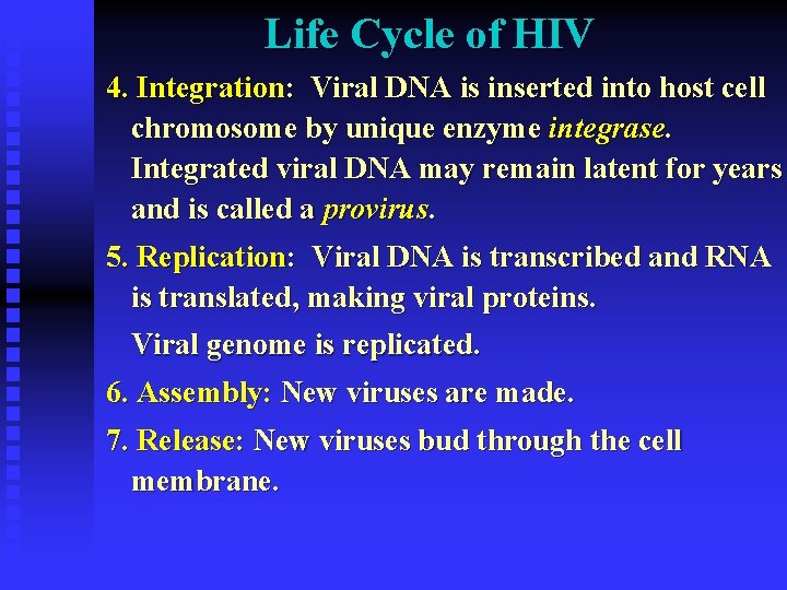 Life Cycle of HIV 4. Integration: Viral DNA is inserted into host cell chromosome Life Cycle of HIV 4. Integration: Viral DNA is inserted into host cell chromosome
