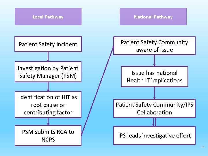 Local Pathway National Pathway Patient Safety Incident Patient Safety Community aware of issue Investigation