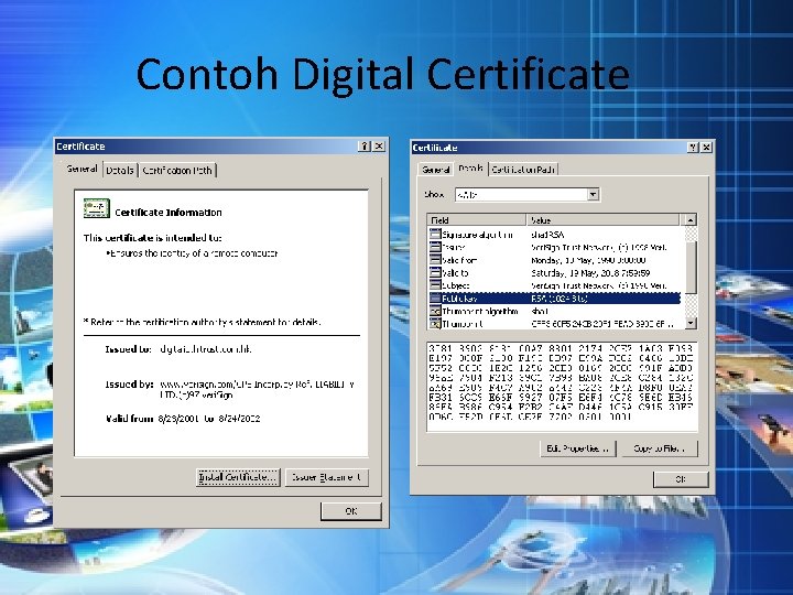 Contoh Digital Certificate 