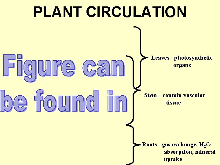 PLANT CIRCULATION Leaves - photosynthetic organs Stem - contain vascular tissue Roots - gas