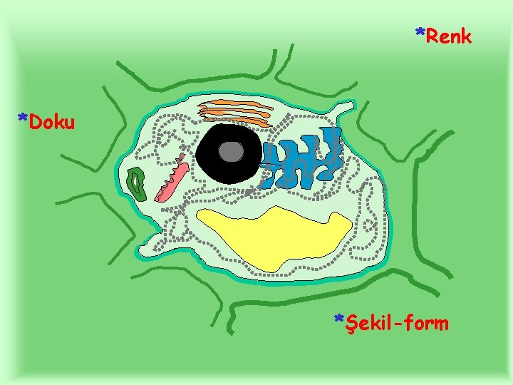 *Renk *Doku *Şekil-form 