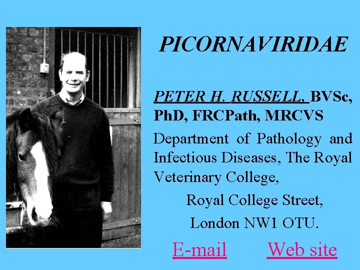 PICORNAVIRIDAE PETER H. RUSSELL, BVSc, Ph. D, FRCPath, MRCVS Department of Pathology and Infectious