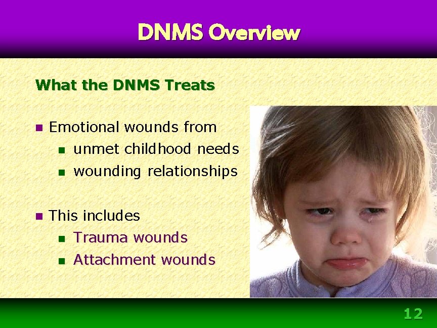DNMS Overview What the DNMS Treats n n Emotional wounds from n unmet childhood DNMS Overview What the DNMS Treats n n Emotional wounds from n unmet childhood