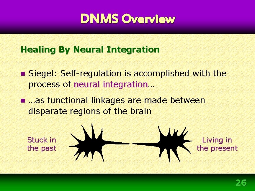 DNMS Overview Healing By Neural Integration n Siegel: Self-regulation is accomplished with the process DNMS Overview Healing By Neural Integration n Siegel: Self-regulation is accomplished with the process