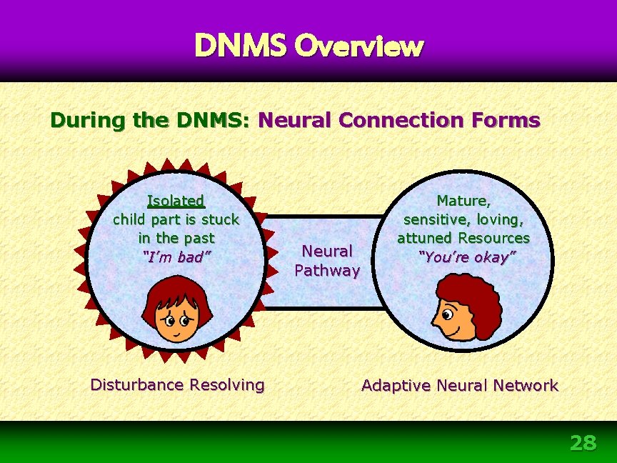 DNMS Overview During the DNMS: Neural Connection Forms Isolated child part is stuck in DNMS Overview During the DNMS: Neural Connection Forms Isolated child part is stuck in