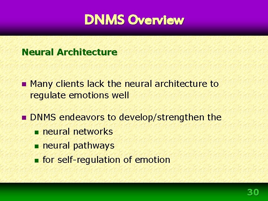 DNMS Overview Neural Architecture n Many clients lack the neural architecture to regulate emotions DNMS Overview Neural Architecture n Many clients lack the neural architecture to regulate emotions