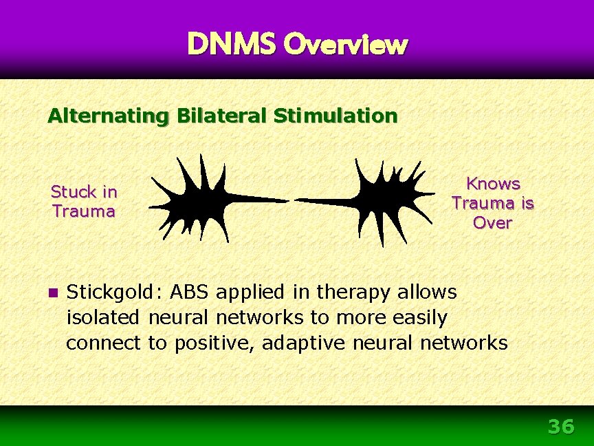 DNMS Overview Alternating Bilateral Stimulation Stuck in Trauma n Knows Trauma is Over Stickgold: DNMS Overview Alternating Bilateral Stimulation Stuck in Trauma n Knows Trauma is Over Stickgold: