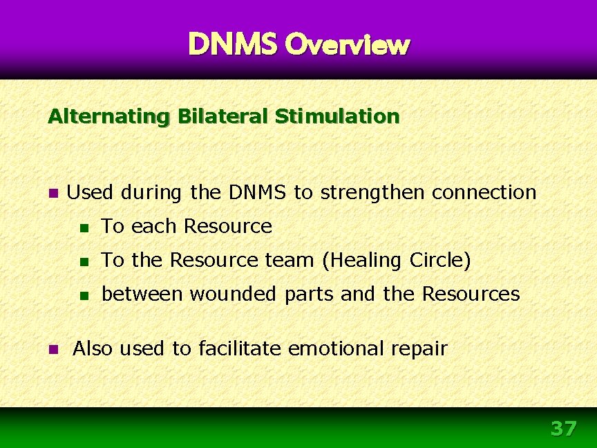 DNMS Overview Alternating Bilateral Stimulation n n Used during the DNMS to strengthen connection DNMS Overview Alternating Bilateral Stimulation n n Used during the DNMS to strengthen connection