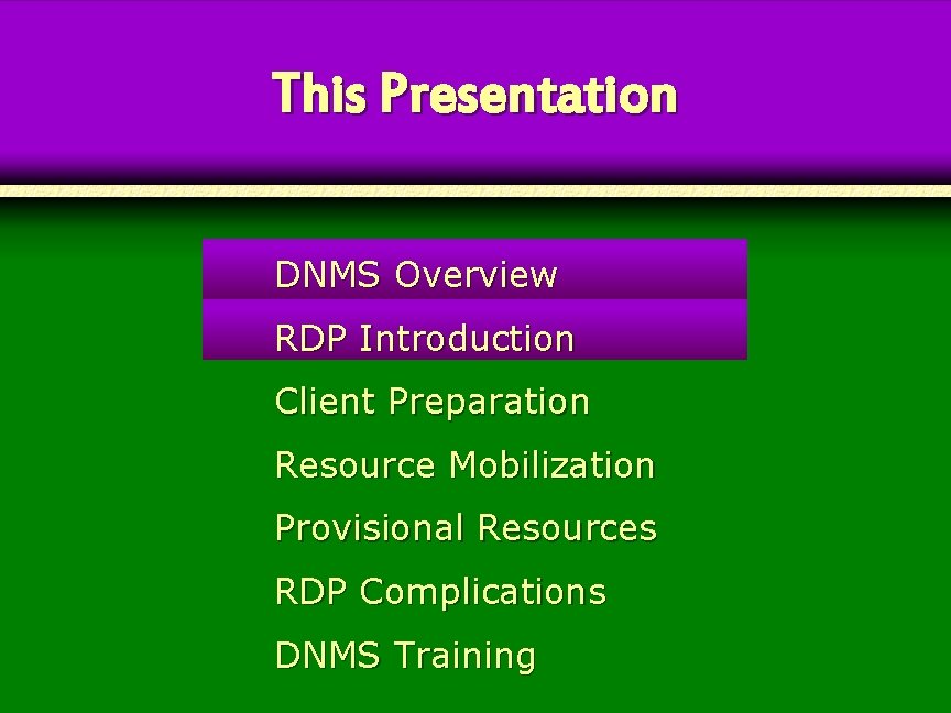This Presentation DNMS Overview RDP Introduction Client Preparation Resource Mobilization Provisional Resources RDP Complications This Presentation DNMS Overview RDP Introduction Client Preparation Resource Mobilization Provisional Resources RDP Complications