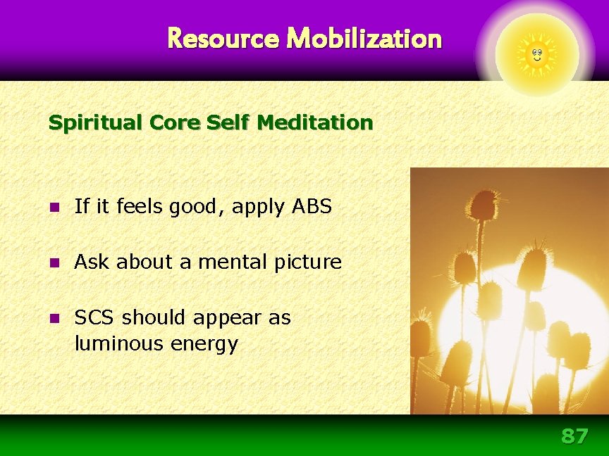 Resource Mobilization Spiritual Core Self Meditation n If it feels good, apply ABS n Resource Mobilization Spiritual Core Self Meditation n If it feels good, apply ABS n