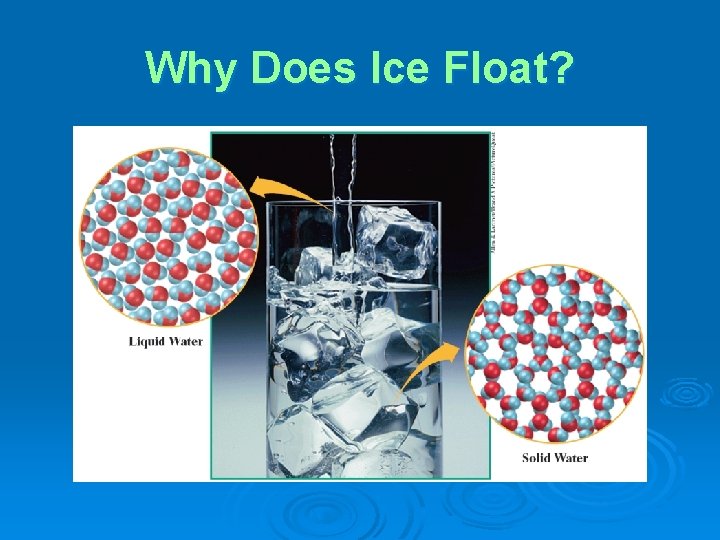 Why Does Ice Float? Why Does Ice Float?