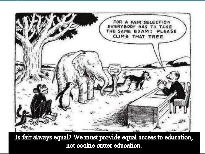 Is fair always equal? We must provide equal access to education, not cookie cutter