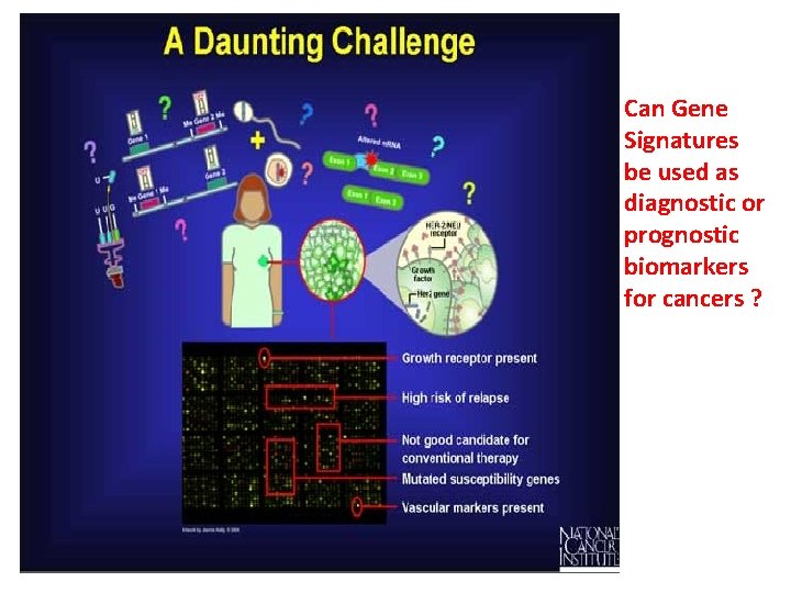 Can Gene Signatures be used as diagnostic or prognostic biomarkers for cancers ? Can Gene Signatures be used as diagnostic or prognostic biomarkers for cancers ?