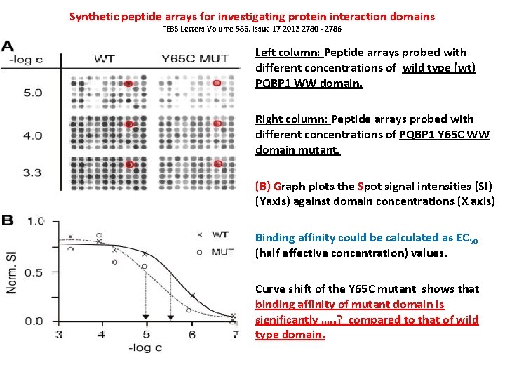 Synthetic peptide arrays for investigating protein interaction domains FEBS Letters Volume 586, Issue 17 Synthetic peptide arrays for investigating protein interaction domains FEBS Letters Volume 586, Issue 17