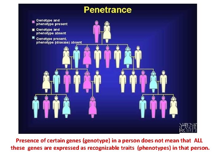 Presence of certain genes (genotype) in a person does not mean that ALL these Presence of certain genes (genotype) in a person does not mean that ALL these