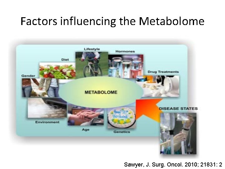 Factors influencing the Metabolome Sawyer, J. Surg. Oncol. 2010; 21831: 2 Factors influencing the Metabolome Sawyer, J. Surg. Oncol. 2010; 21831: 2