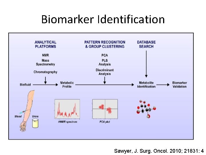 Biomarker Identification Sawyer, J. Surg. Oncol. 2010; 21831: 4 Biomarker Identification Sawyer, J. Surg. Oncol. 2010; 21831: 4