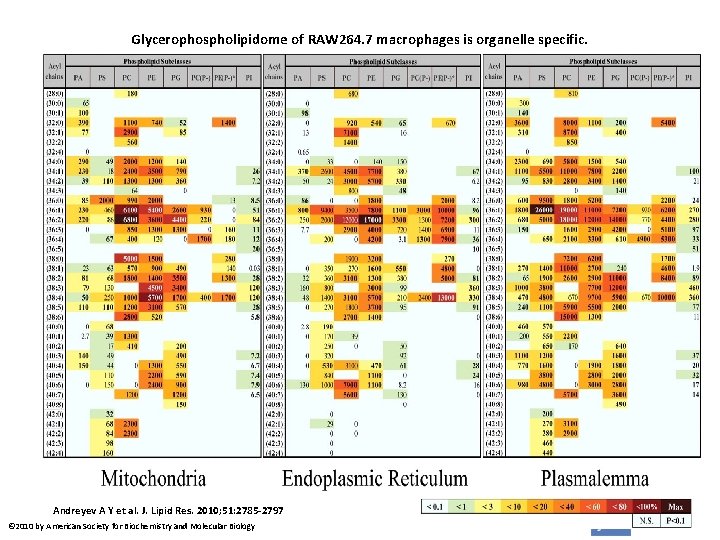 Glycerophospholipidome of RAW 264. 7 macrophages is organelle specific. Andreyev A Y et al. Glycerophospholipidome of RAW 264. 7 macrophages is organelle specific. Andreyev A Y et al.