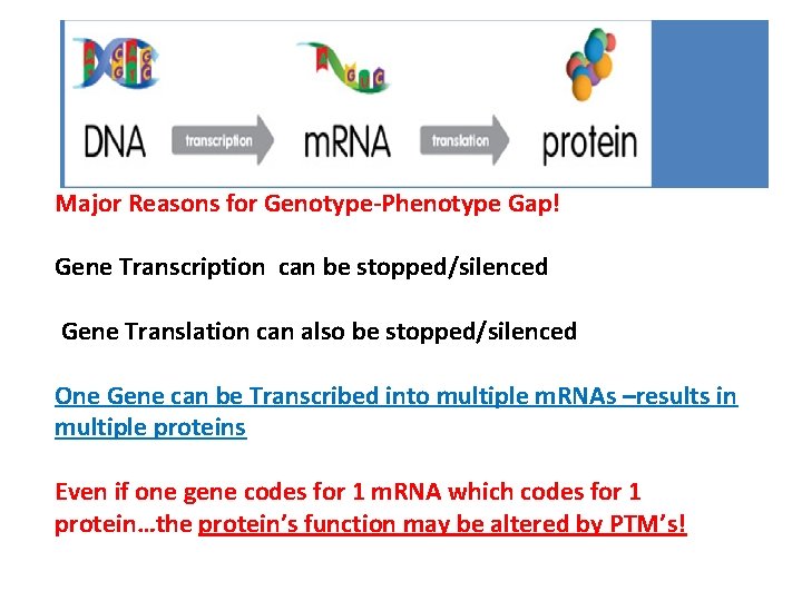 Major Reasons for Genotype-Phenotype Gap! Gene Transcription can be stopped/silenced Gene Translation can also Major Reasons for Genotype-Phenotype Gap! Gene Transcription can be stopped/silenced Gene Translation can also