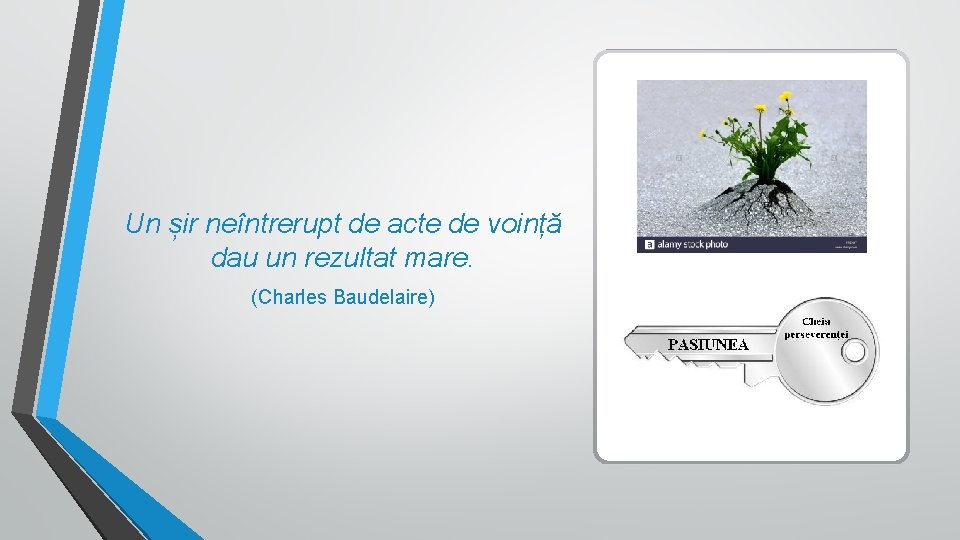 Un șir neîntrerupt de acte de voință dau un rezultat mare. (Charles Baudelaire) 