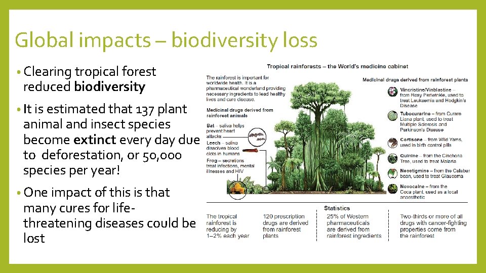 Global impacts – biodiversity loss • Clearing tropical forest reduced biodiversity • It is