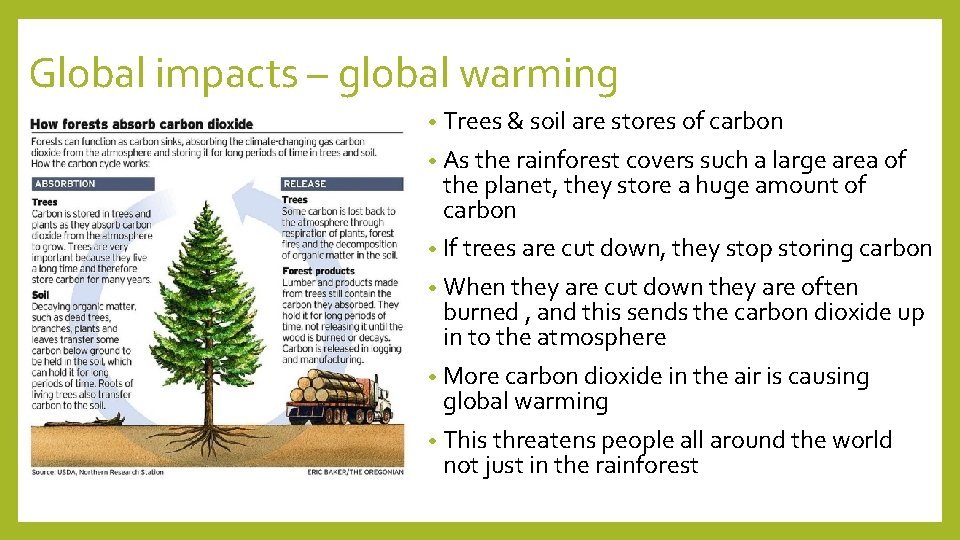 Global impacts – global warming • Trees & soil are stores of carbon •
