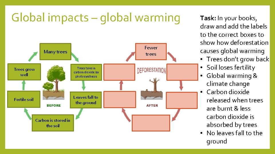 Global impacts – global warming Fewer trees Many trees Trees grow well Trees take