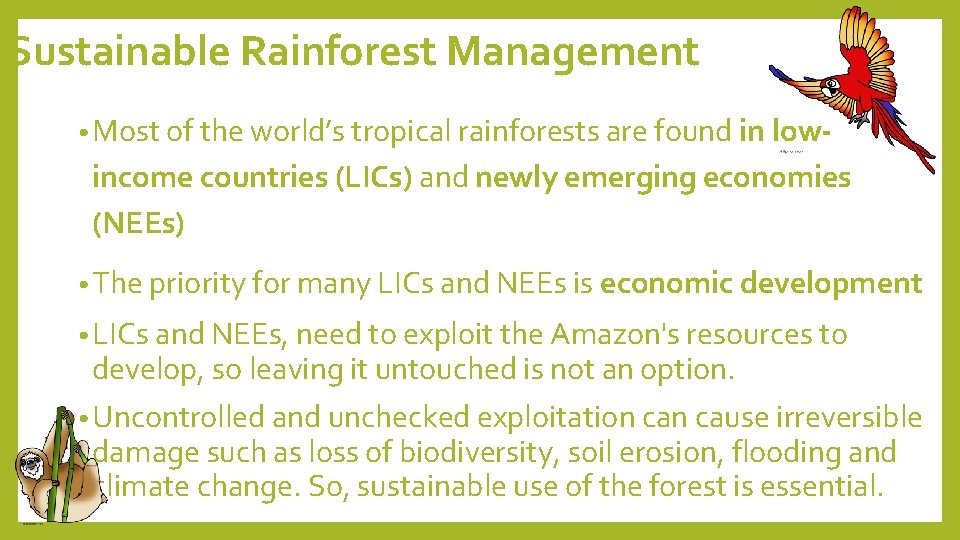 Sustainable Rainforest Management • Most of the world’s tropical rainforests are found in low-