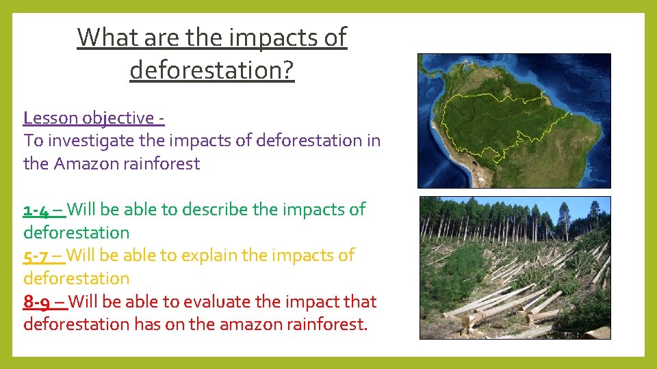 What are the impacts of deforestation? Lesson objective - To investigate the impacts of