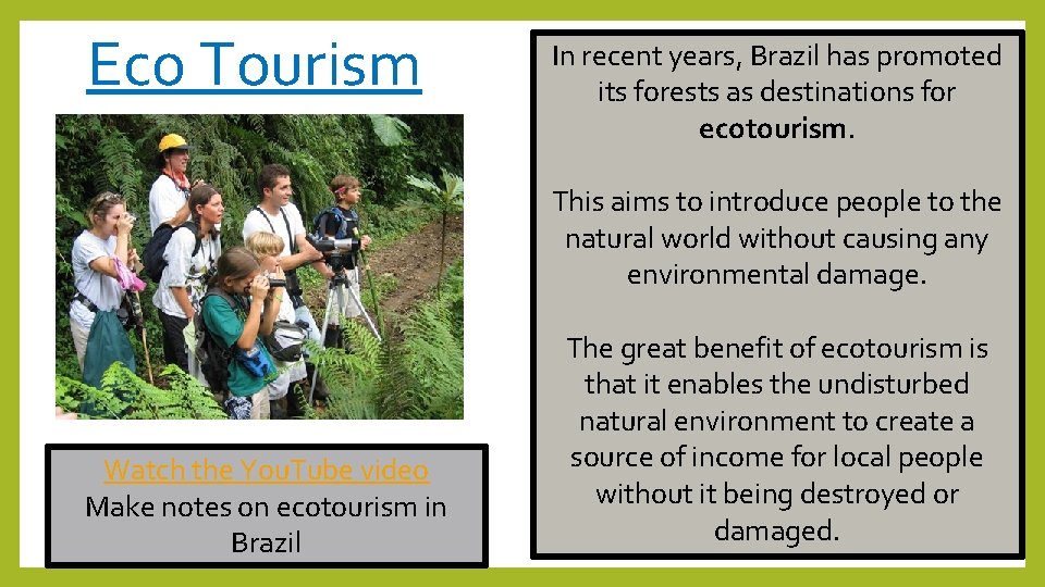 Eco Tourism In recent years, Brazil has promoted its forests as destinations for ecotourism.