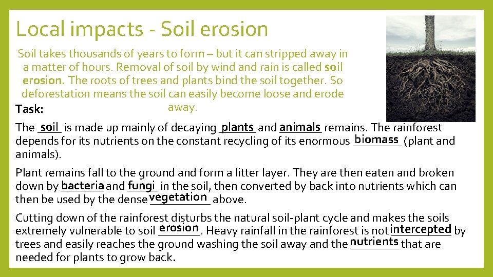 Local impacts - Soil erosion Soil takes thousands of years to form – but