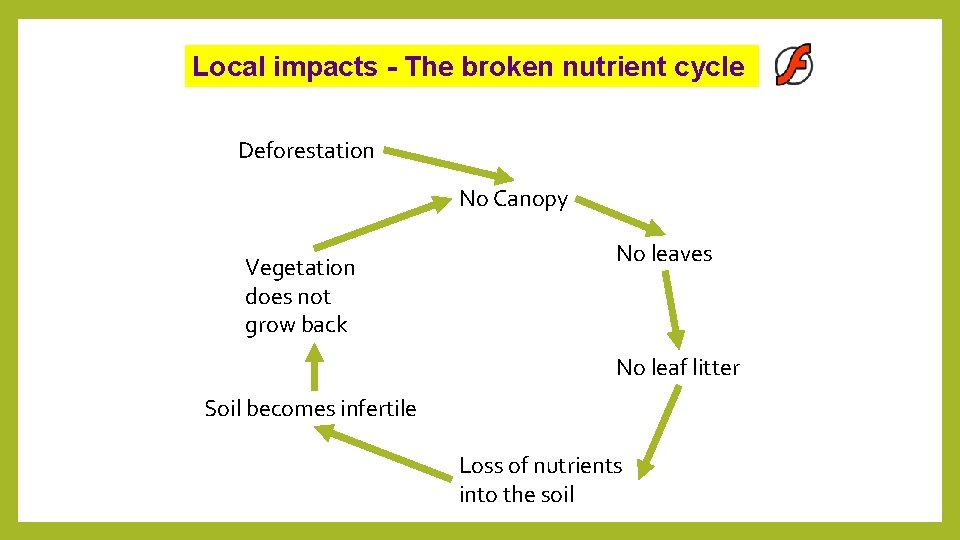 Local impacts - The broken nutrient cycle Deforestation No Canopy Vegetation does not grow