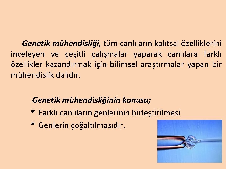 Genetik mühendisliği, tüm canlıların kalıtsal özelliklerini inceleyen ve çeşitli çalışmalar yaparak canlılara farklı özellikler