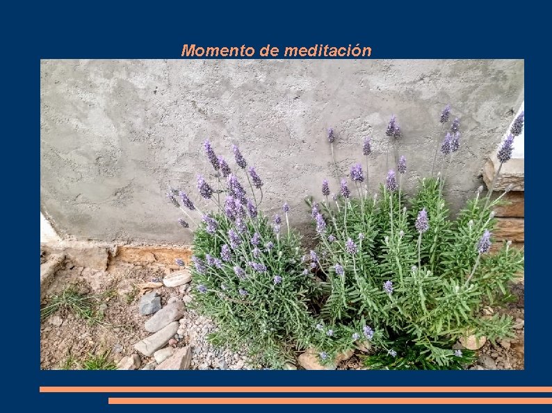 Momento de meditación Momento de meditación
