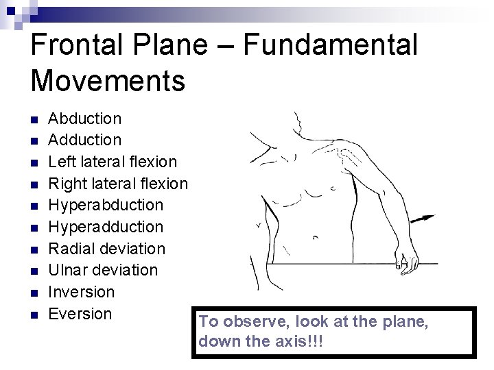 Frontal Plane – Fundamental Movements n n n n n Abduction Adduction Left lateral