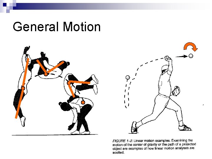 General Motion 