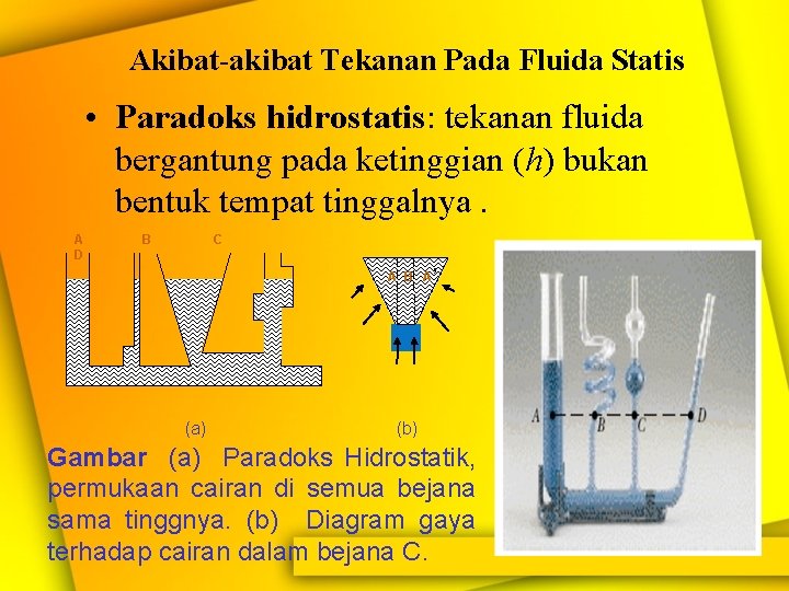 Akibat-akibat Tekanan Pada Fluida Statis • Paradoks hidrostatis: tekanan fluida bergantung pada ketinggian (h)