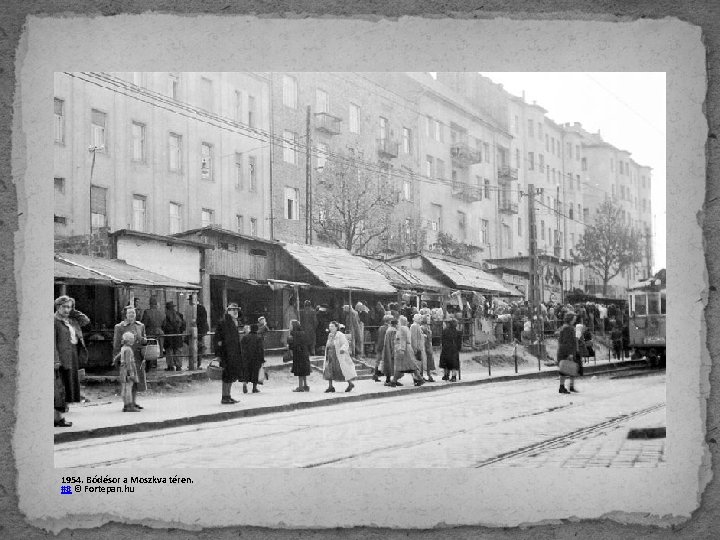 1954. Bódésor a Moszkva téren. #8 © Fortepan. hu 