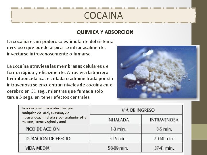 COCAINA QUIMICA Y ABSORCION La cocaína es un poderoso estimulante del sistema nervioso que